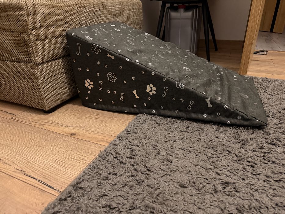 Rampa, podest dla psa