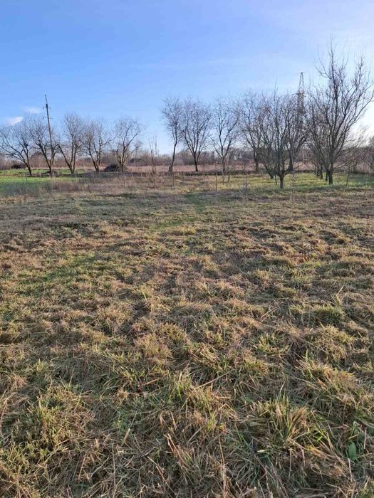 Оренда, Київська обл., Фастівський р-н, с.Велика Снітинка