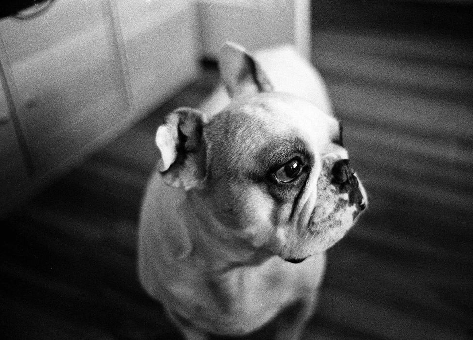 Обєктив Super Takumar 35mm f/2