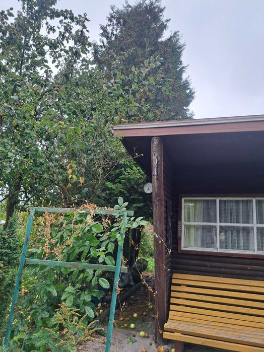 Działka ROD KORMORAN 300 m² Piłsudskiego - Widok 2