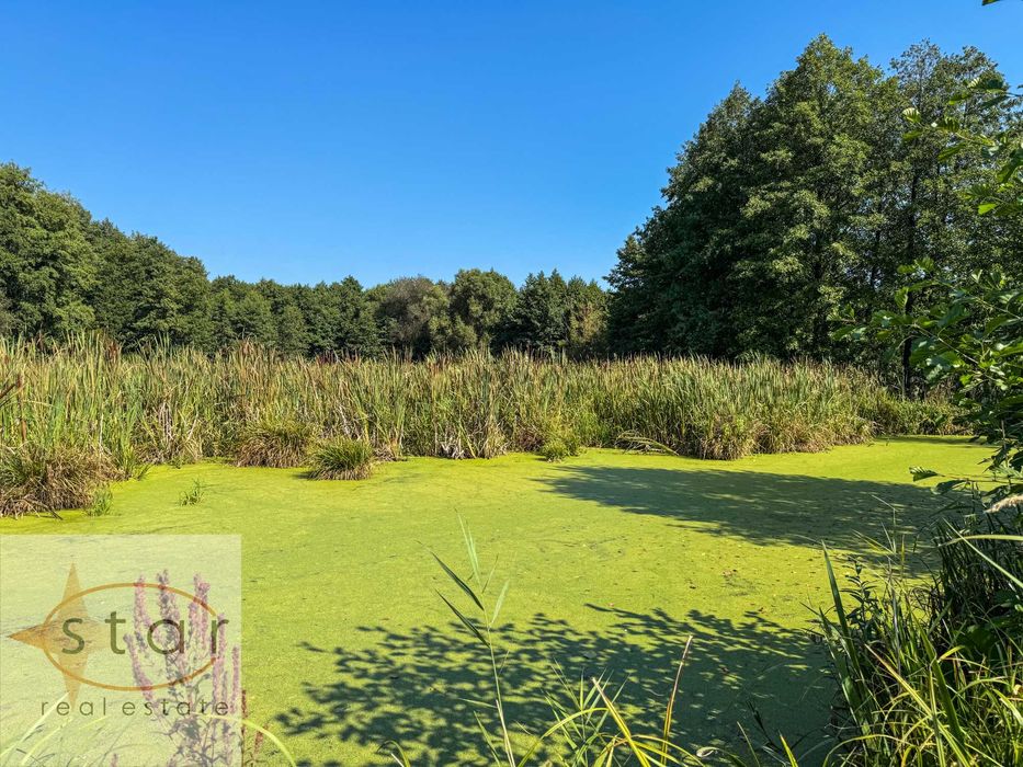 Продаж землі у Седневі  2,15 га поруч з Кротовим озером та р. Снов