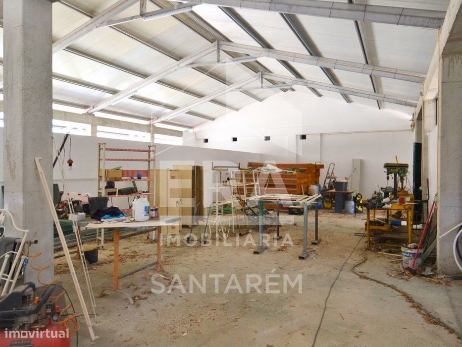 Quinta com 5,8 hectares, em Santarém