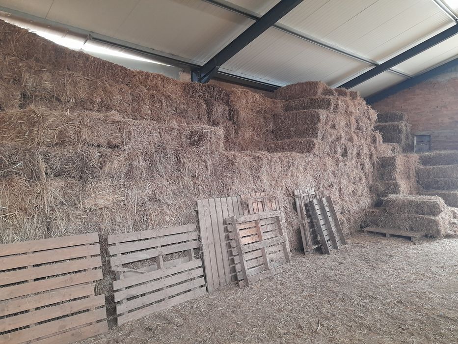 Fardos Erva Seca de Azevem