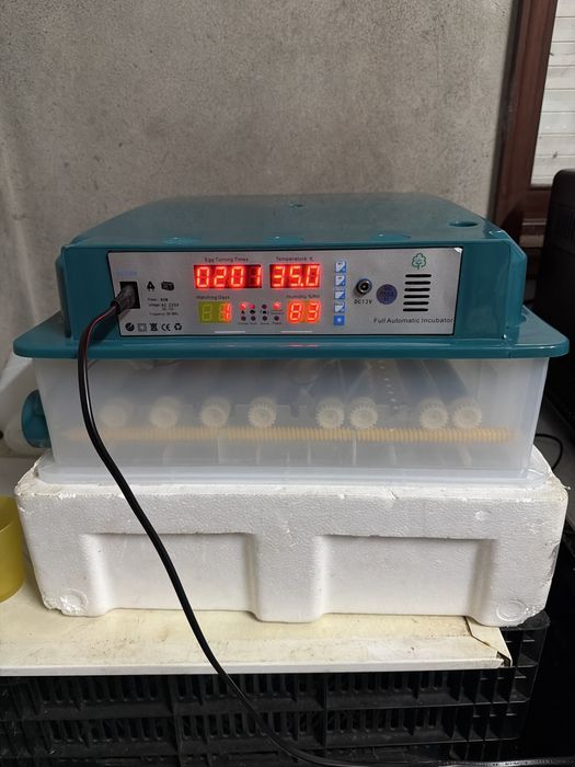 Chocadeira  de dois pisos 120 ovos  100% automatica