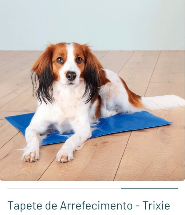 Tapete de Arrefecimento - Trixie - S