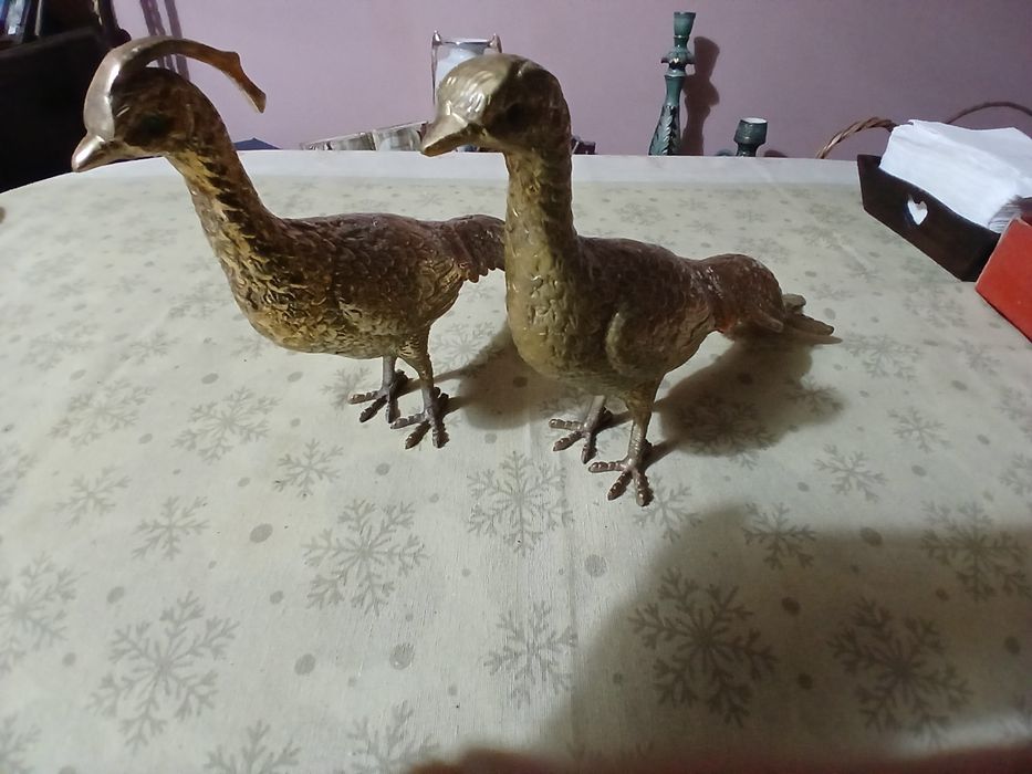 Vendo um conjunto  de faisões