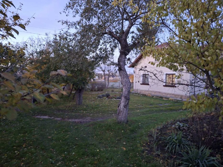 Продаж будинку у В.Березовиця