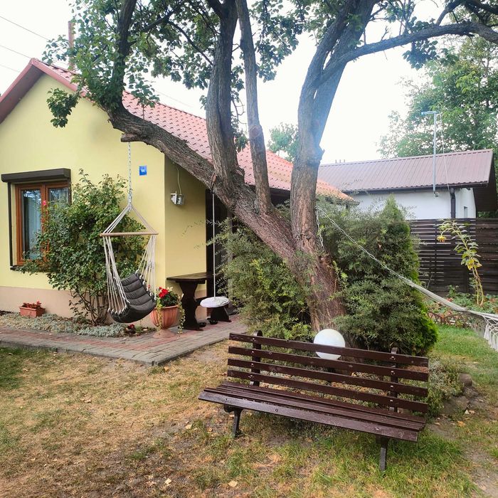 PROMOCJA TYLKO DO KOŃCA CZERWCA!!!Sprzedam działkę rekreacyjną ROD w Łowiczu - Widok 2