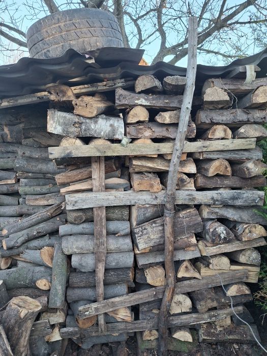 Witam posiadam drzewo do  kominka twarde sezonowane