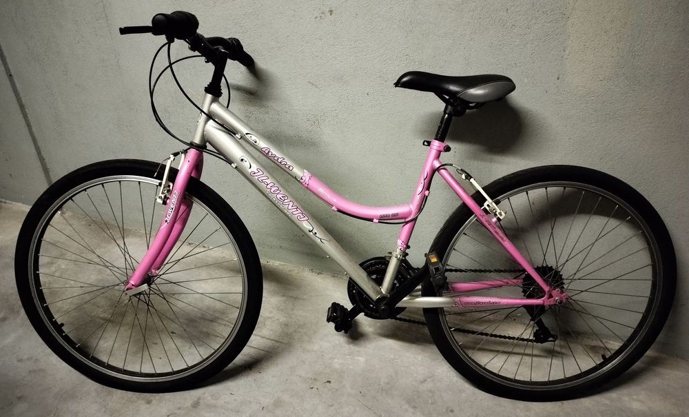 Bicicletas usadas são duas