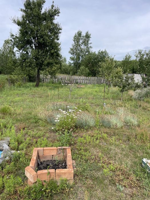 Продається дача  Товариство Вільське