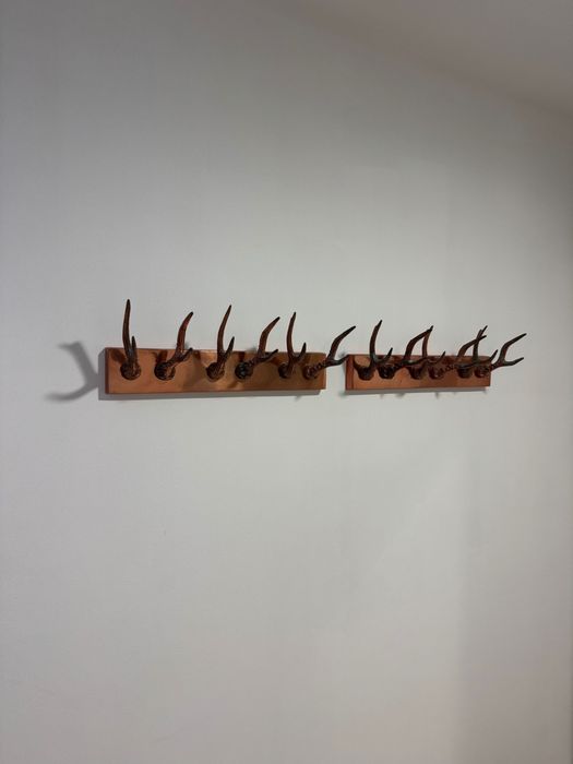 Par de Cabides de Parede / Bengaleiros - Design Cobre e Hastes (Antlers)