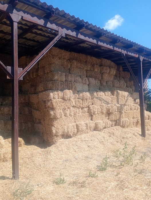 Солома пшенична та ячна