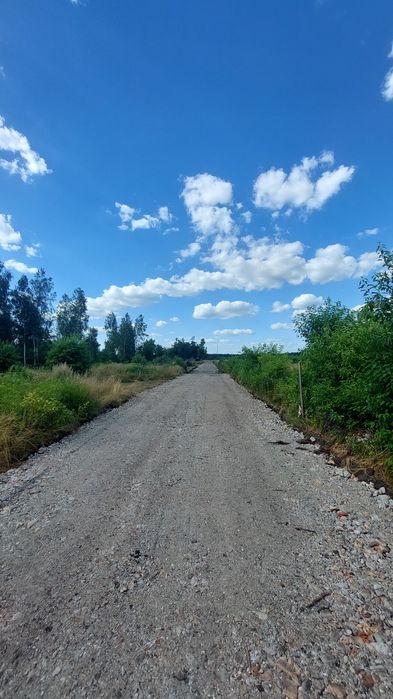Działka budowlana 8 arów (800m2) Nowa Dęba, media na działce