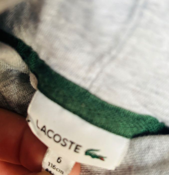 Sweatshirt Lacoste c/ capuz criança 6 anos 116 cm