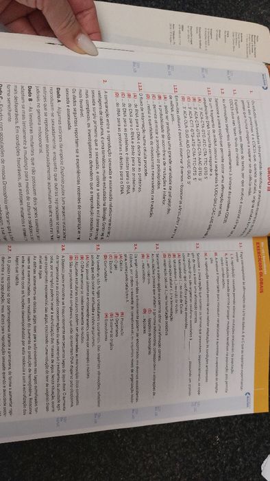 Testes e Exames Biologia e Geologia
