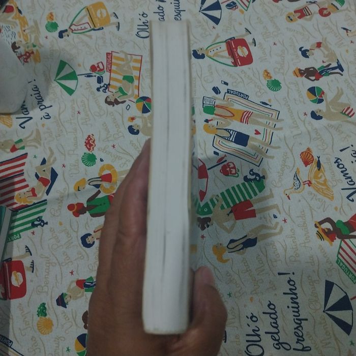 Três semanas com o meu irmão.  Portes incluídos