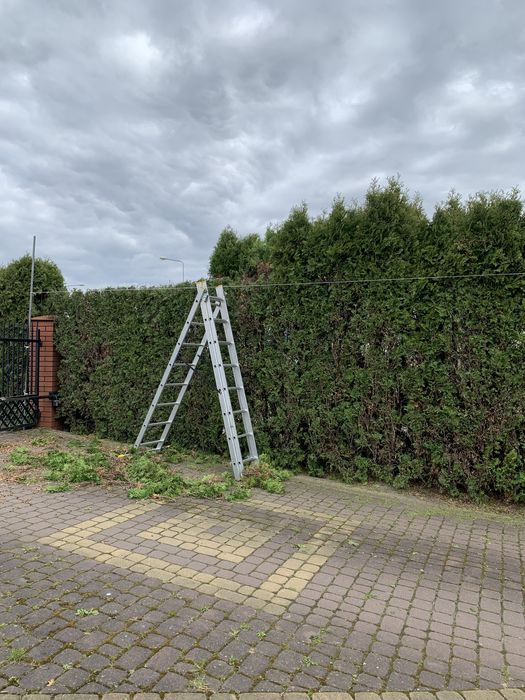 Pielegnacja ogrodów