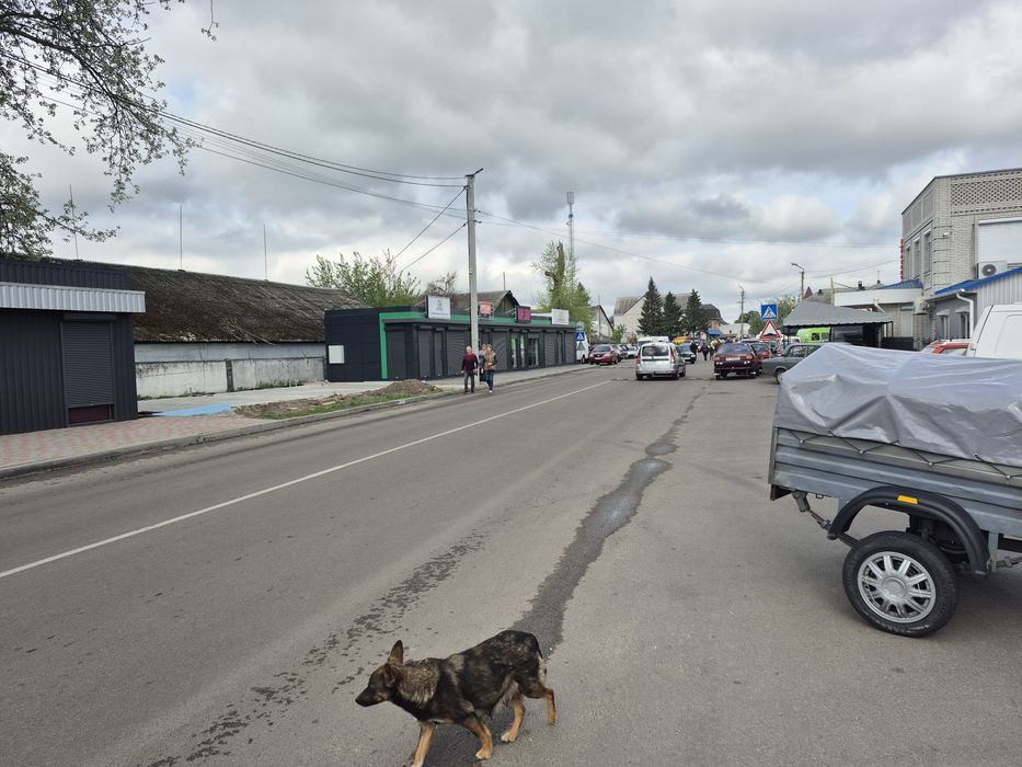 Здам в оренду МАФ від  власника.
