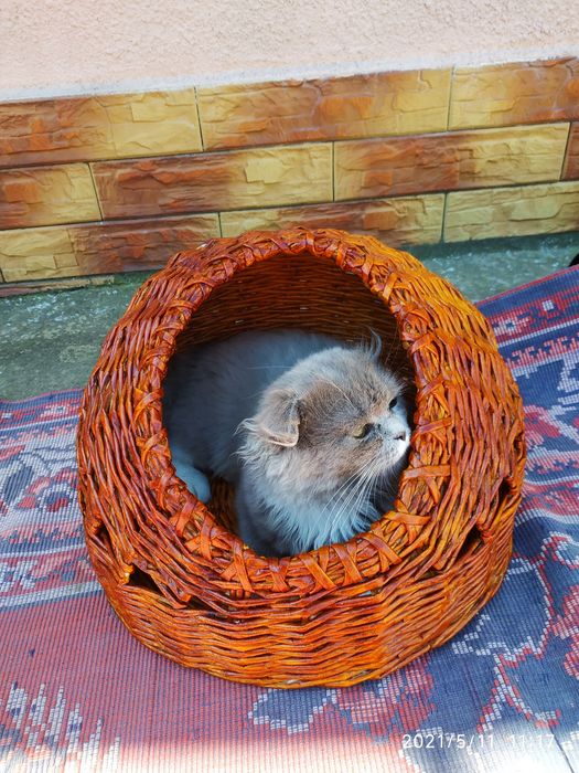 Лежак для кошечки