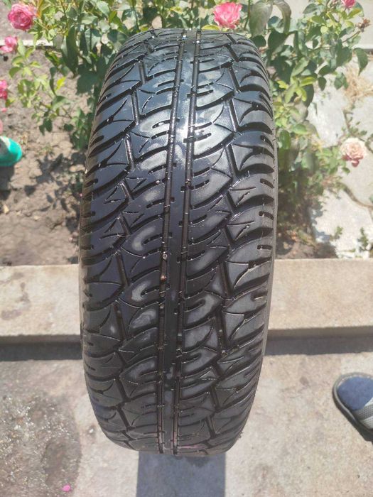 Продам летюю резину на дисках Rosava R13