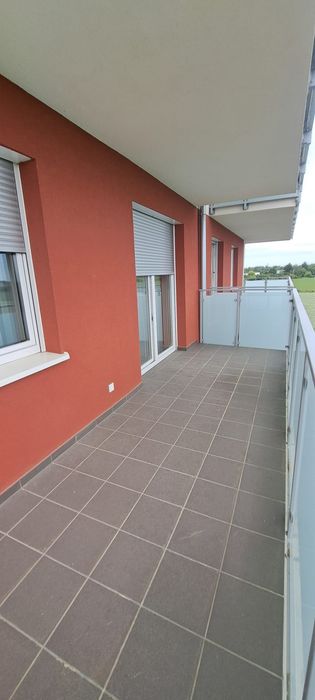 Mieszkanie do wynajecia - Widok 5