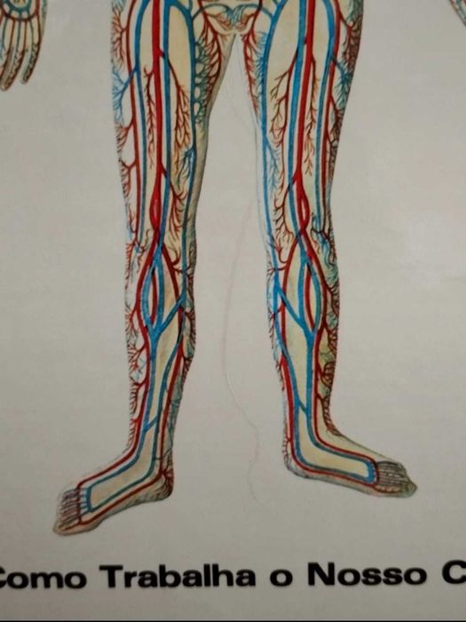 Livro "Como Trabalha o Nosso Corpo" 1981