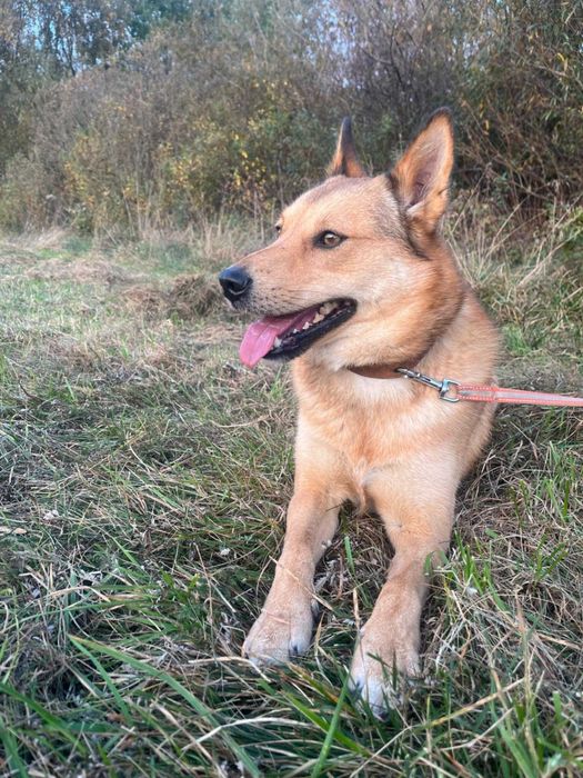 Rudi i Sabinka szukają wspólnego domu