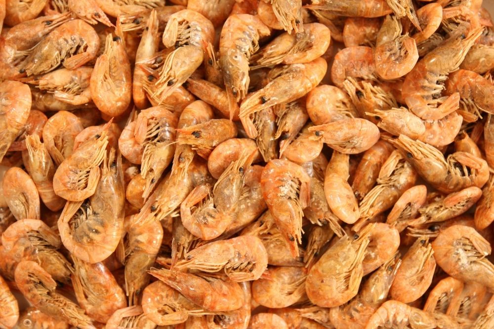krewetki suszone shrimps glopex dla żółwia 100g krewetka suszona