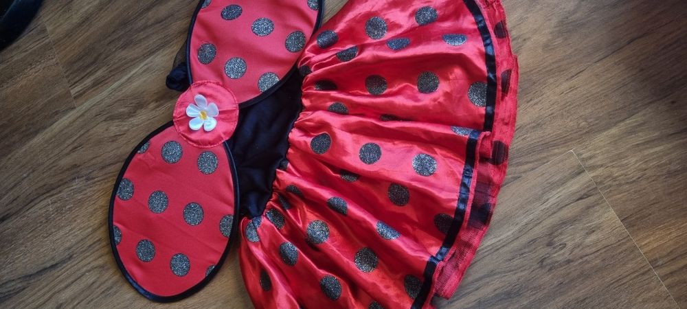 Biedronka strój karnawałowy kostium na bal przebierańców ladybug
