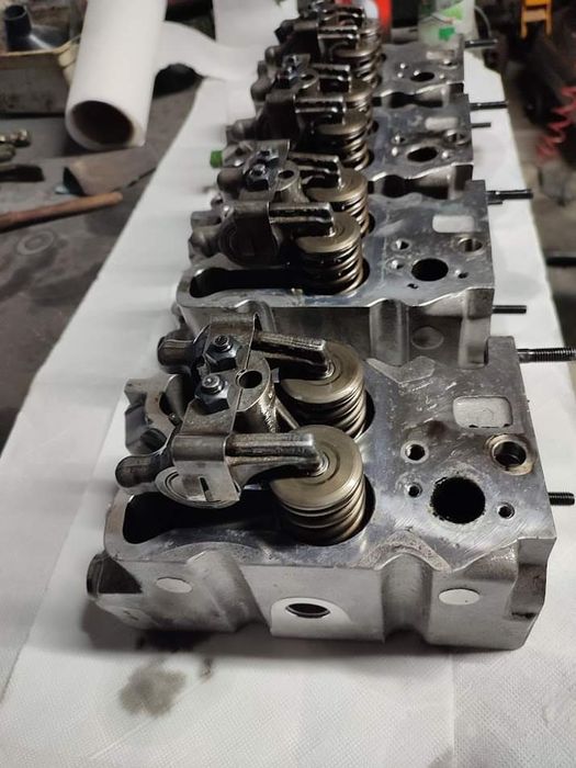 Cabeças / colassa AMC