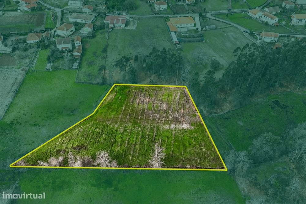 Terreno Rústico  Venda em Associação de freguesias do Vale do Neiva,Po — Associação De Freguesias Do Vale Do Neiva, Viana do Castelo