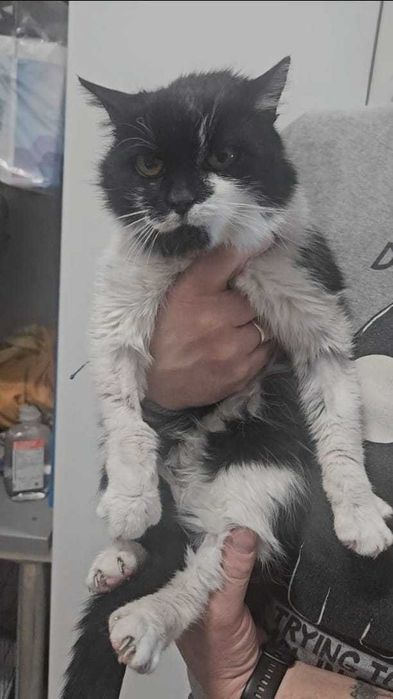 Cichutki aniołek skazany na śmierć — LUSIA