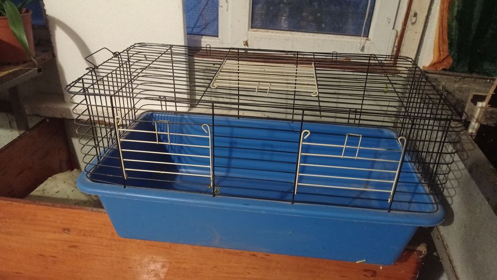 Кліточки на вибір