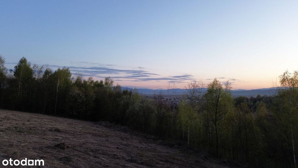 Działka, Nowy Sącz