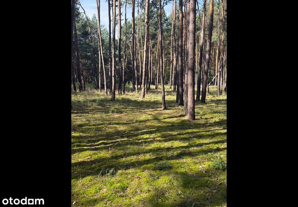 Działka budowlana z mediami w cichej okolicy