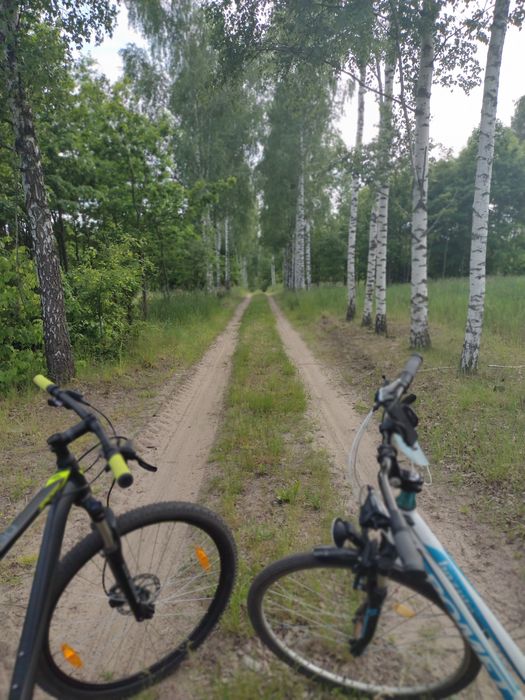 Domek letniskowy Wielonek w Borach Tucholskich, Zalewem Koronowski