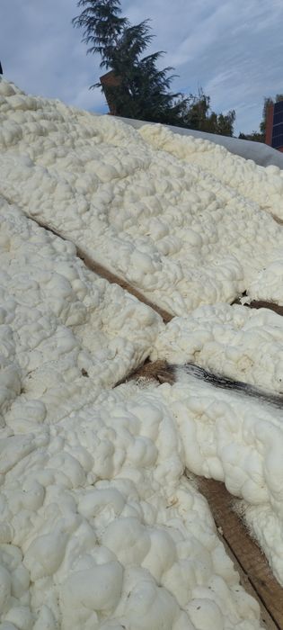 Naprawa dachu po kunie