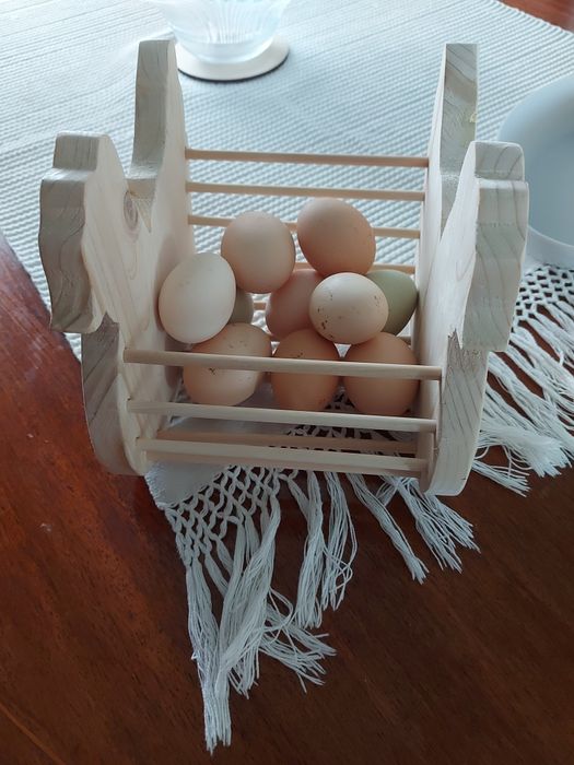 Galinha suporte para ovos