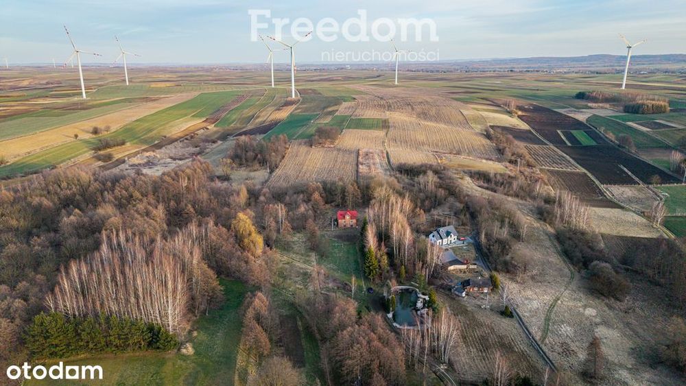 Dom 102 m² do remontu – Wysoka,
