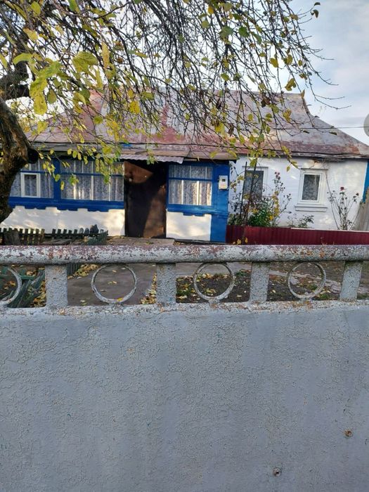 Будинок в селі з власним виходом до річки