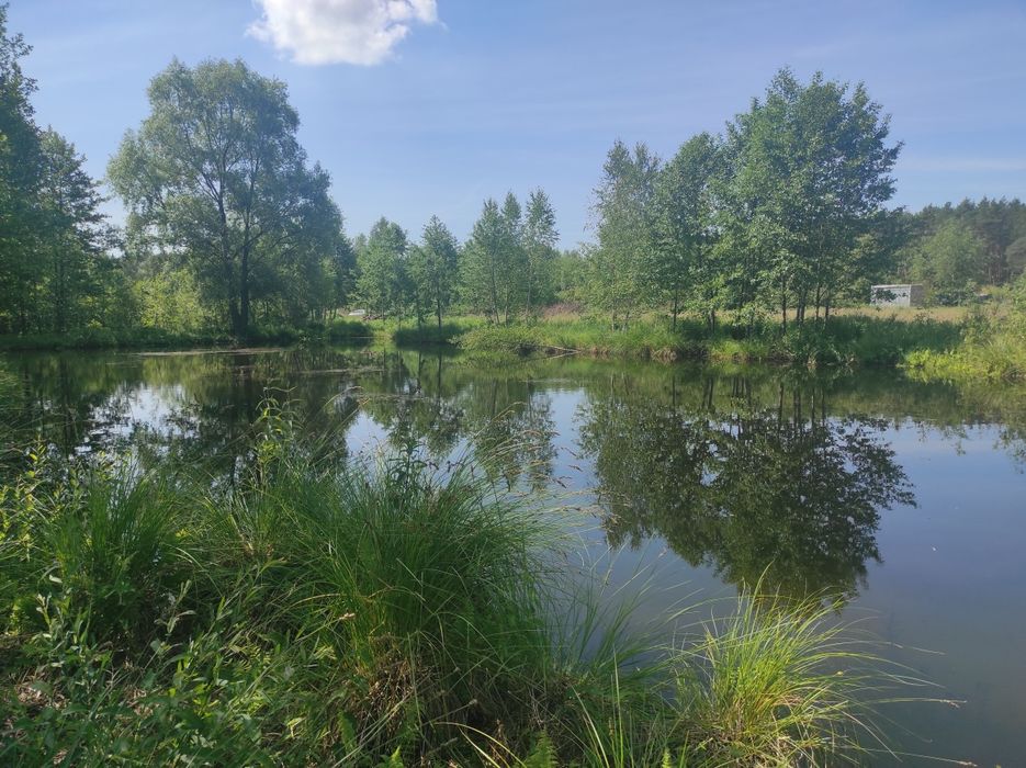 Zdjęcie 5