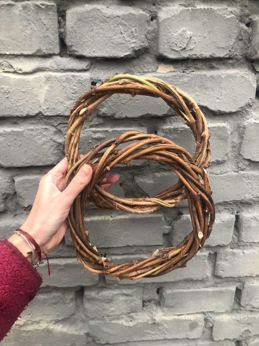 Нобіліс, ель, сосна, ялинка