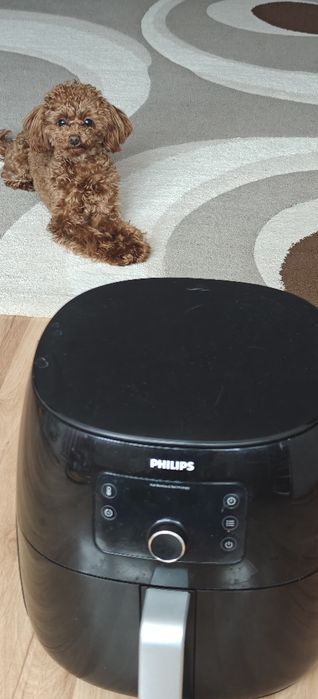 Аерогриль HD9762