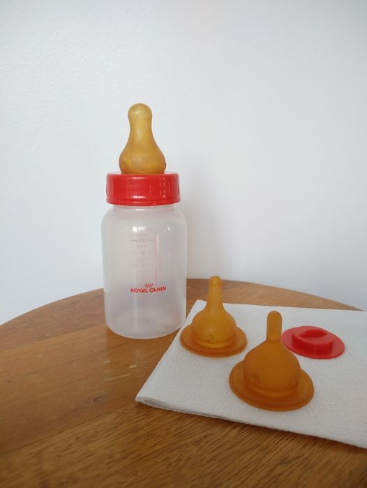 Royal Canin бутылочка щенков котят соска кормления Франция смеси