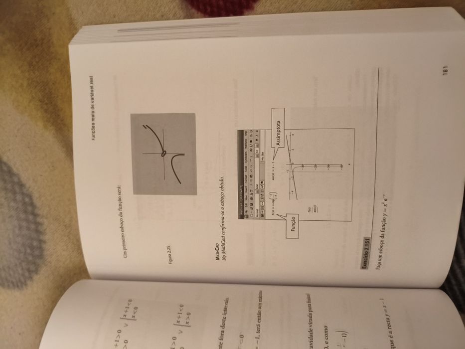 Livro Análise Matemática 1, Vasco Simões