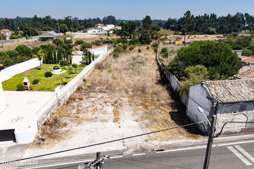 Terreno  para venda — Mira, Coimbra