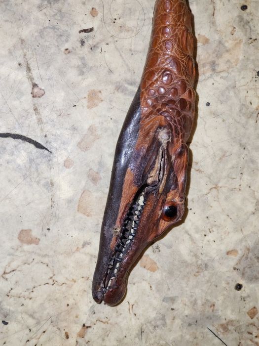 Пояс с головой крокодила