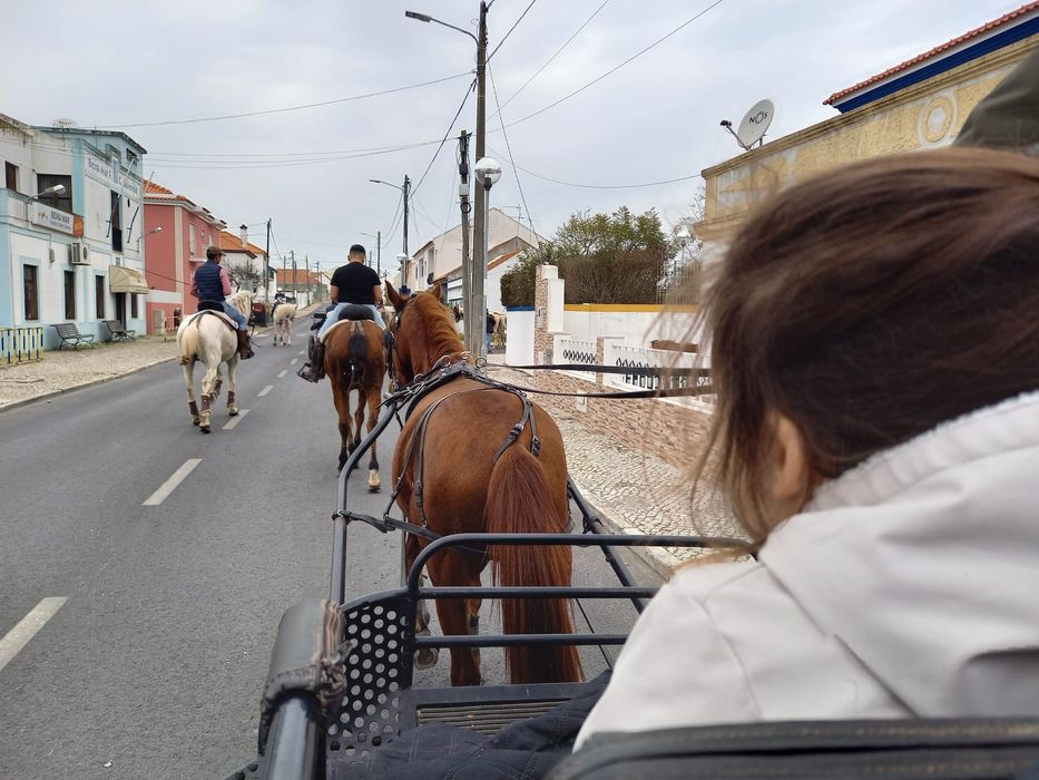 Cavalo engatado mais maratona
