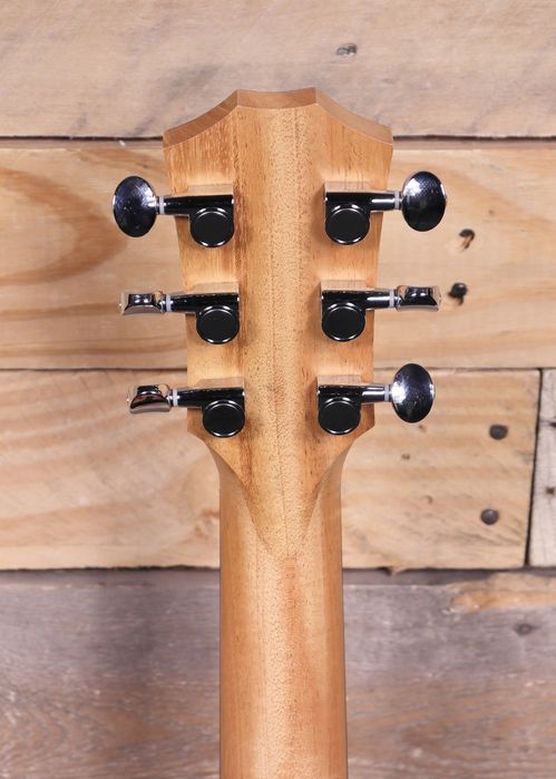 Taylor GS mini e-special edition BlueBurst (nova)